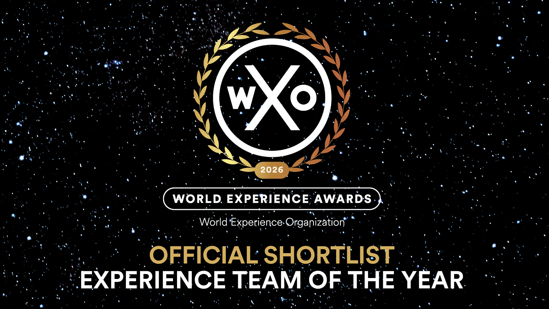 Experience Team of the Year