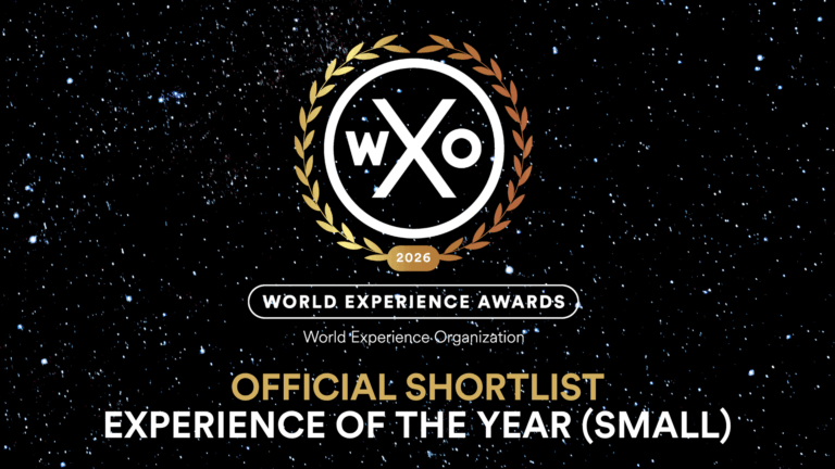 Experience of the Year (Small)