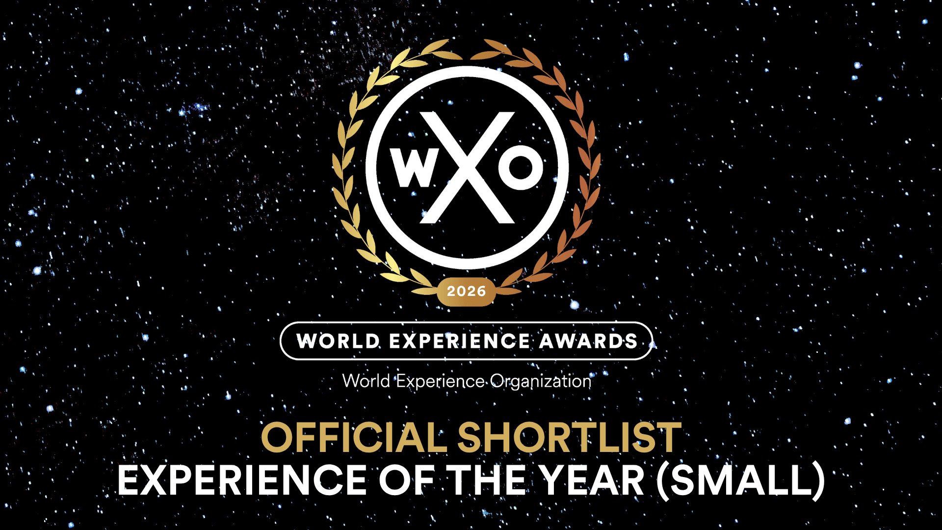 Experience of the Year (Small)
