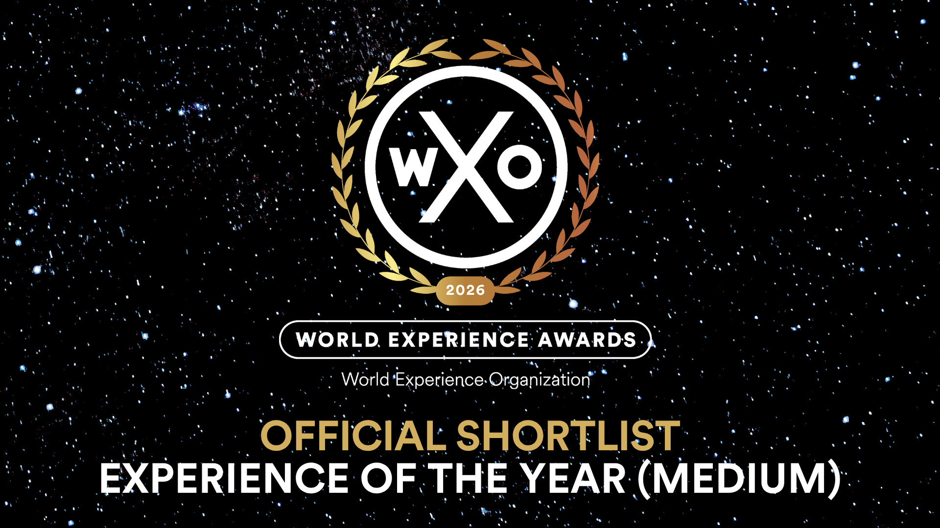 Experience of the Year (Medium)