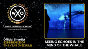 SEEING ECHOES IN THE MIND OF THE WHALE